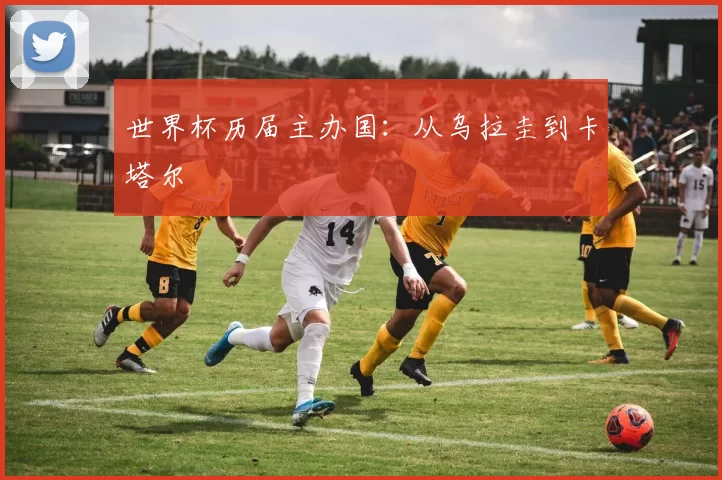 世界杯历届主办国：从乌拉圭到卡塔尔