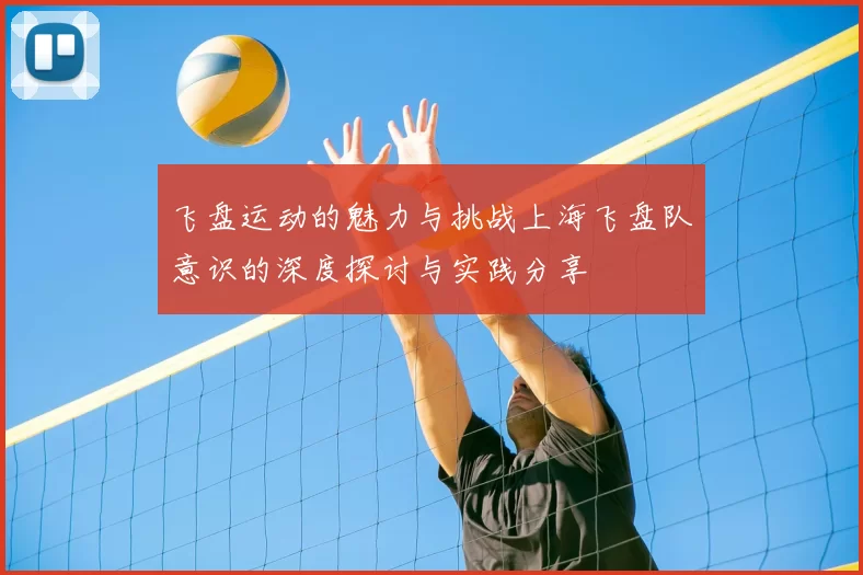 飞盘运动的魅力与挑战上海飞盘队意识的深度探讨与实践分享