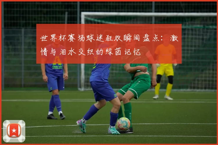 世界杯赛场球迷狂欢瞬间盘点：激情与泪水交织的绿茵记忆