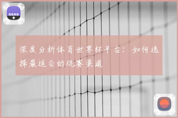 深度分析体育世界杯平台：如何选择最适合的观赛渠道