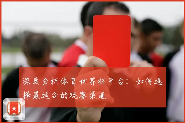 深度分析体育世界杯平台：如何选择最适合的观赛渠道