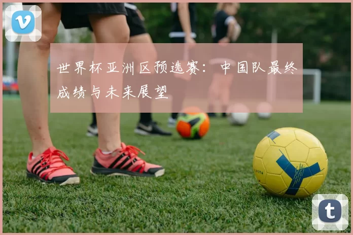 世界杯亚洲区预选赛：中国队最终成绩与未来展望